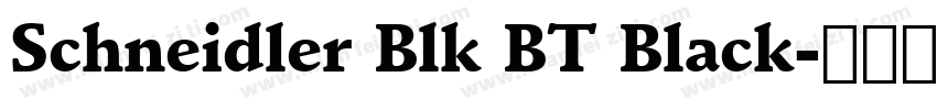 Schneidler Blk BT Black字体转换